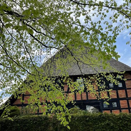 Ferienwohnung St. Dionyser Heidedorf Sankt Dionys Kültér fotó