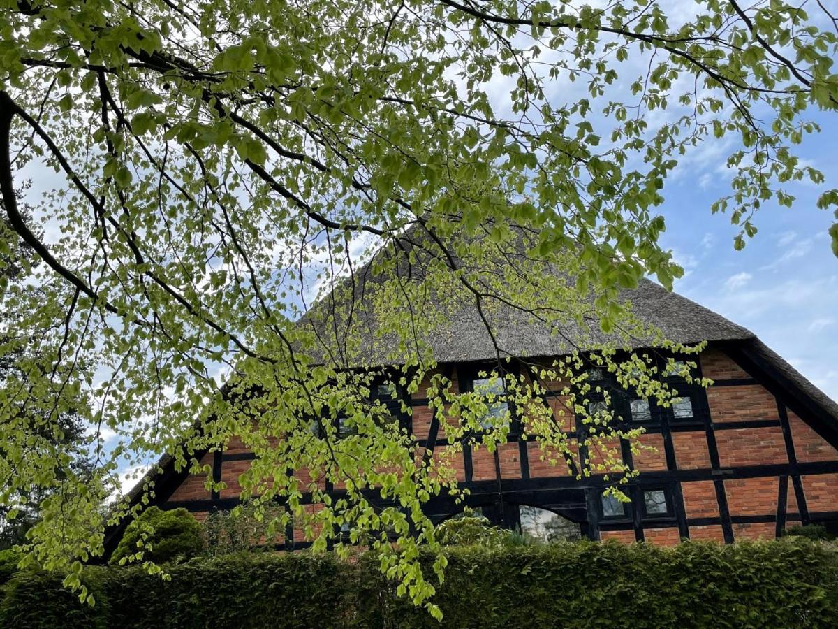 Ferienwohnung St. Dionyser Heidedorf Sankt Dionys Kültér fotó